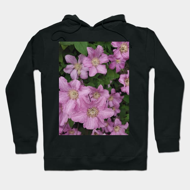 Clematis Hoodie by Drgnfly4free